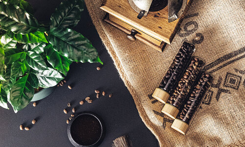 Grundlagen des Kaffees