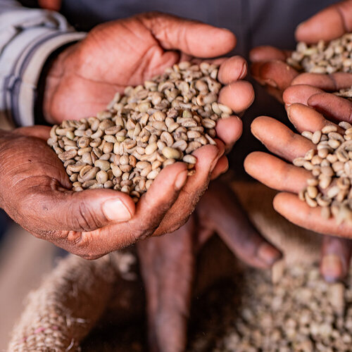 Origin of coffee: From Ethiopia to the modern world