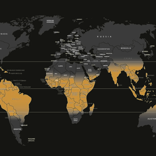 Arabica coffee - what exactly is behind the world-famous bean?