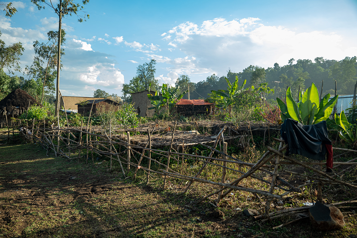 Äthiopische Kaffeefarm in der Region Bale
