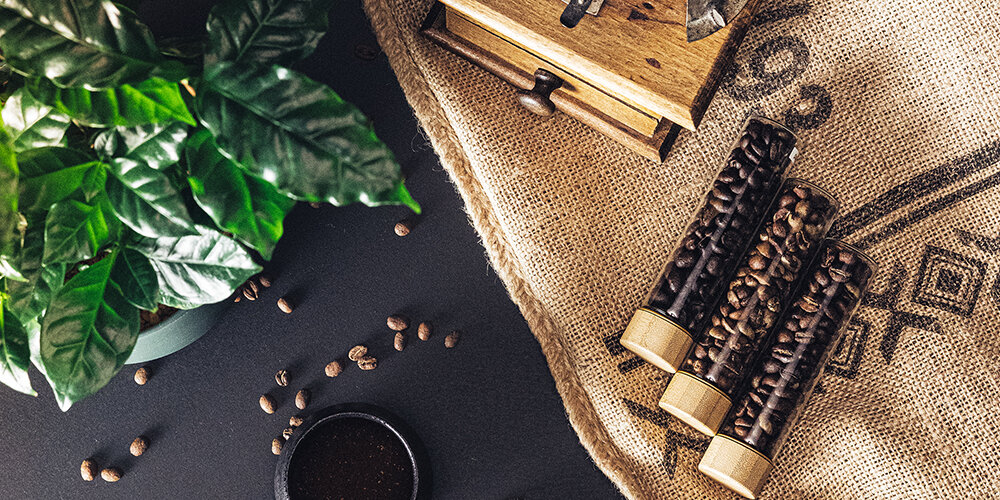 Grundlagen des Kaffees