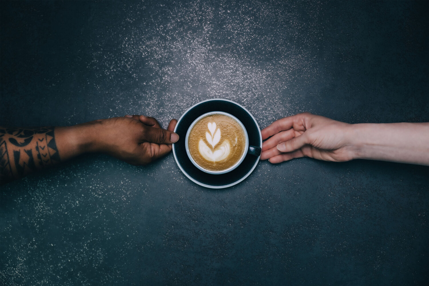 Red coffee cherries on coffee tree