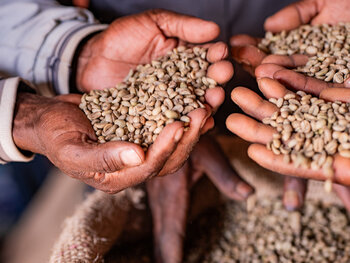 uniqueBean – Sozialprojekt in Äthiopien