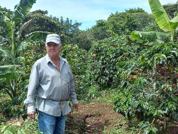 Kaffeekompetenz in Costa Rica