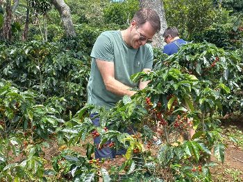 Kaffeekompetenz in Costa Rica