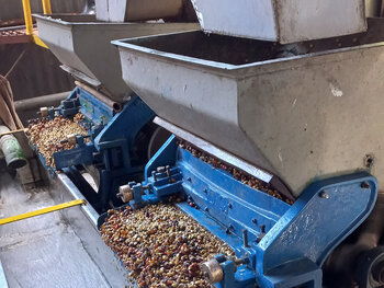 Coffee competence in Costa Rica