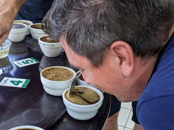 Coffee competence in Costa Rica