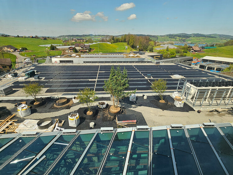 Own electricity thanks to solar panels
